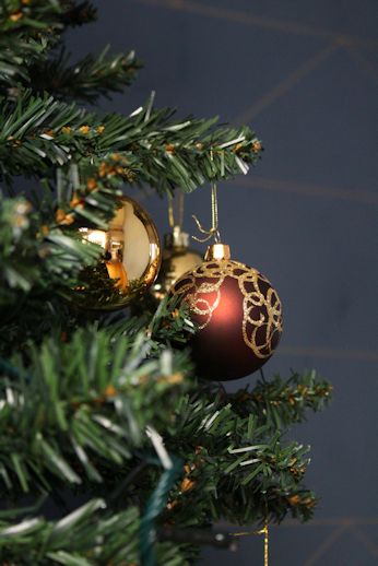 IMG_2365