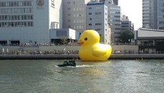 巨大アヒル2