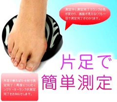 携帯体重計2