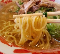 どとんこつ5