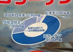 2008ハンズメッセ13