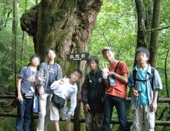 屋久島観光7