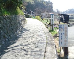 酷道308号線8