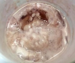 20170514(D 4)