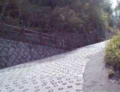 酷道308号線5