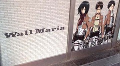 Maria4