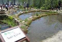 京水11