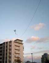 ¹ü¤Ê¤·¥«¥¤¥È8