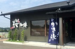 桜珈琲1