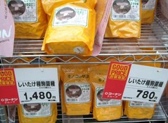 しいたけ栽培3