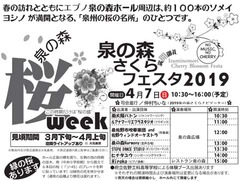 20190330(S 1)