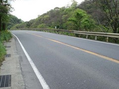 国道25号線7