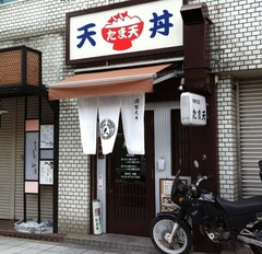 たま天1