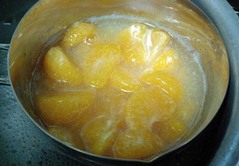 ペクチン4