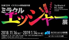 20181107(E 1)