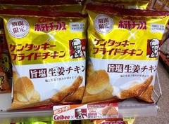 チップスフライド2