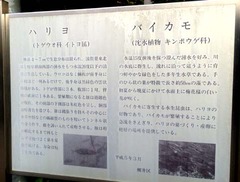 醒井5