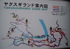 屋久島観光5