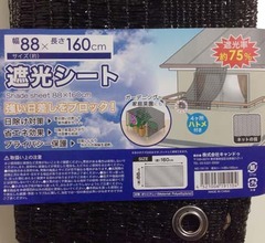 バシー1