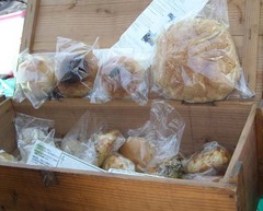 摩耶山リュック5