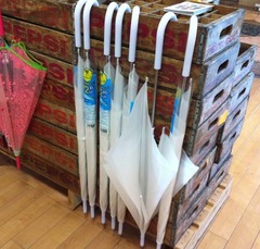 雫シンプル81