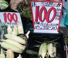 ピュアホワイト1