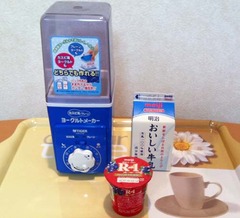 R-1ヨーグ2