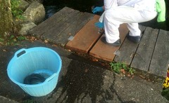 醒井10