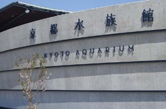 京水1