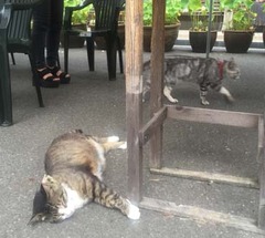 20170806(O 5)