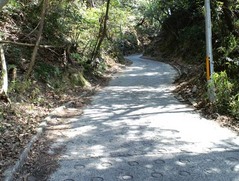 酷道308号線15