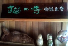 20170806(O 2)