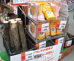 しいたけ栽培2
