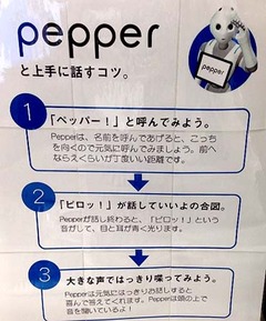 Pepper3
