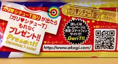 ガリシチュ9