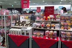 ソラフラワ1