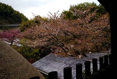 20180404(S 6)