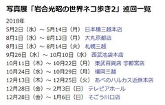 20181205(N 2)