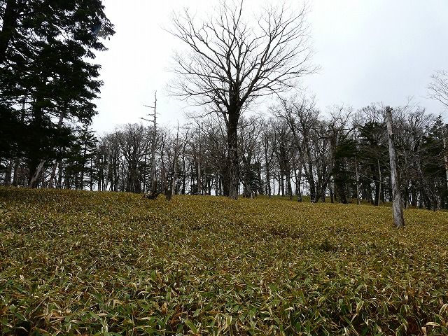 大台ケ原