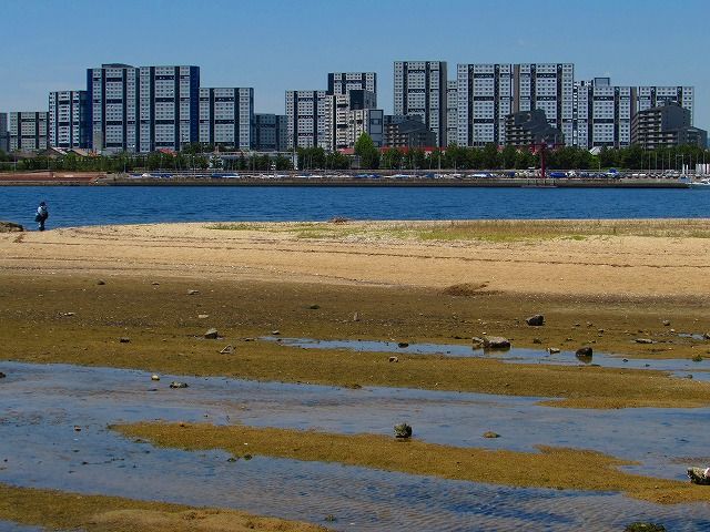 夙川河口・香櫨園浜