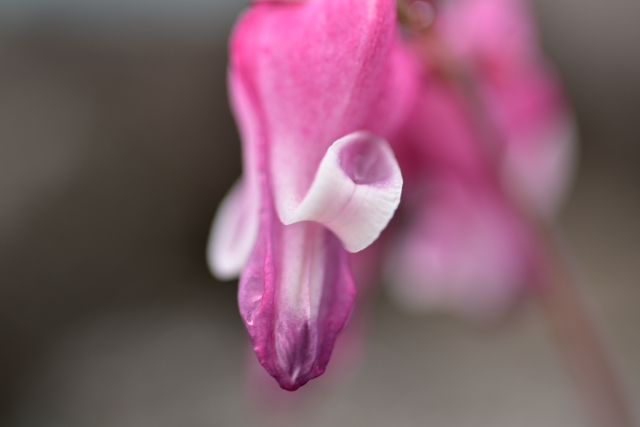 DSC_8818