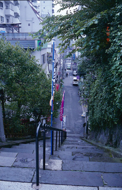 img956_2931
