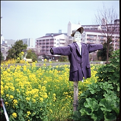 案山子