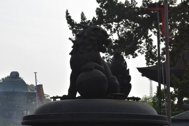 DSC_3997