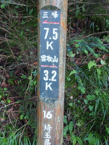 P8140275