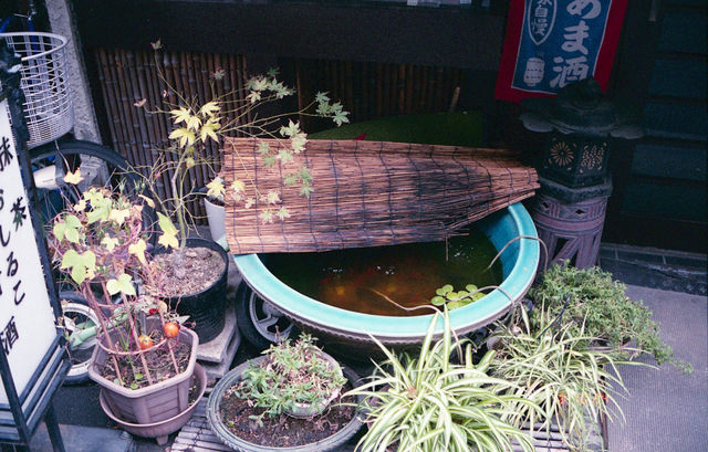 img964_2936