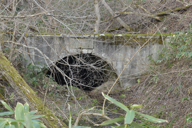 DSC_2797