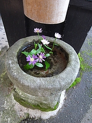 新明館