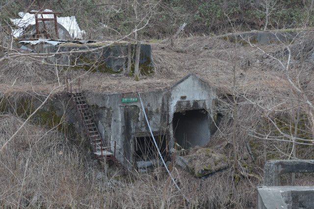 DSC_2801