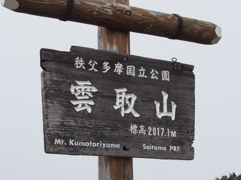 P8130217